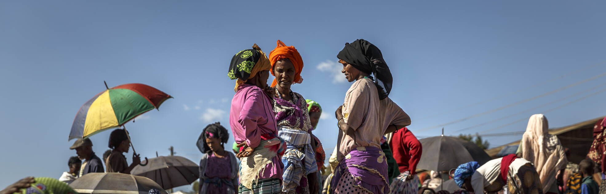 Aktuelles aus Projekten