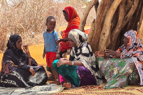 Projekt zur Müttergesundheit in der Somali-Region, Äthiopien Projekt zur Müttergesundheit in der Somali-Region, Äthiopien