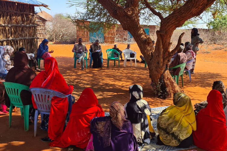 Ursachen und Folgen von Female Genital Cutting Ursachen und Folgen von Female Genital Cutting