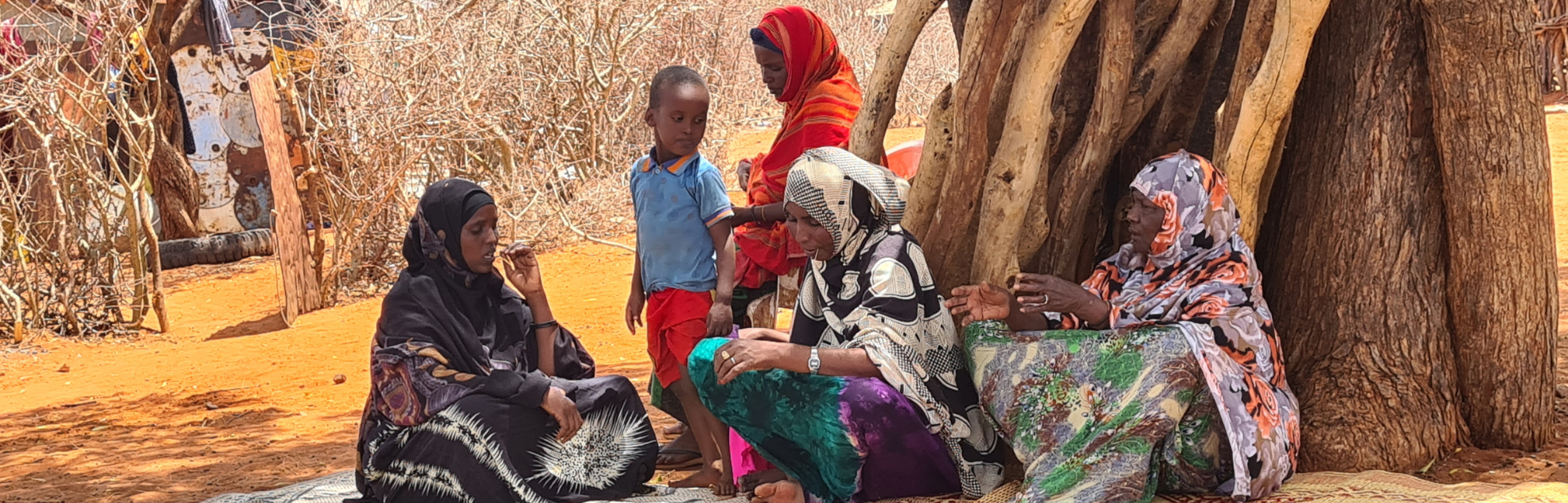 Mother and Child Health Care, Ethiopia