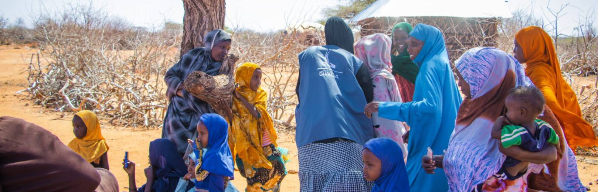 Maternal and Newborn Health Care, Ethiopia