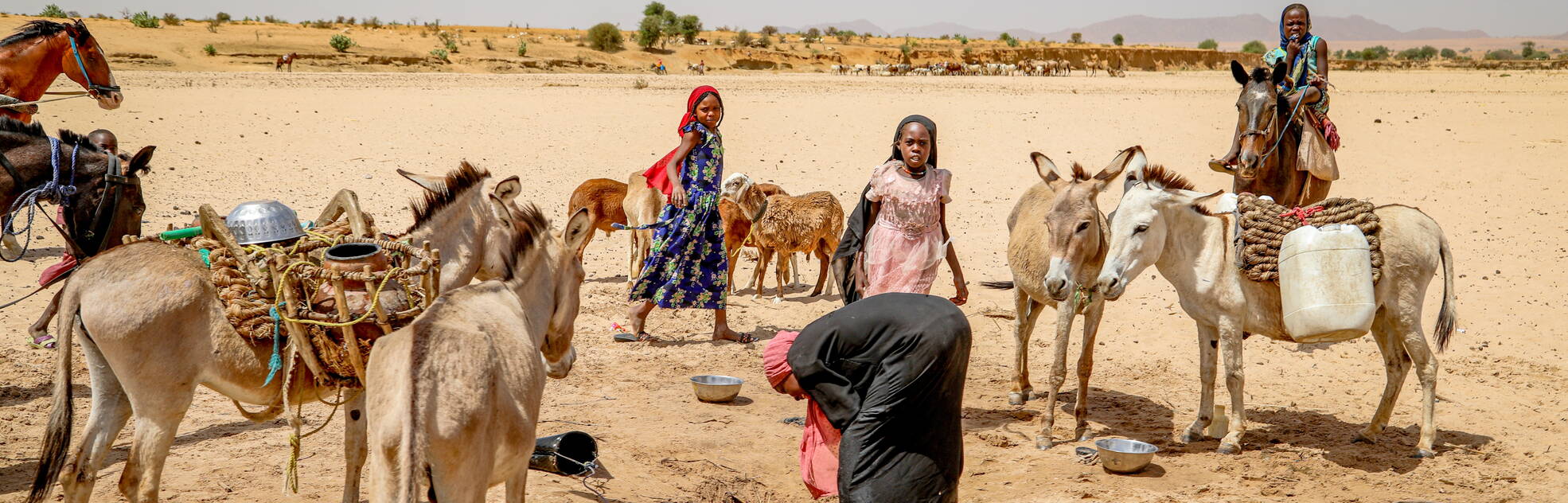 Femmes et changement climatique