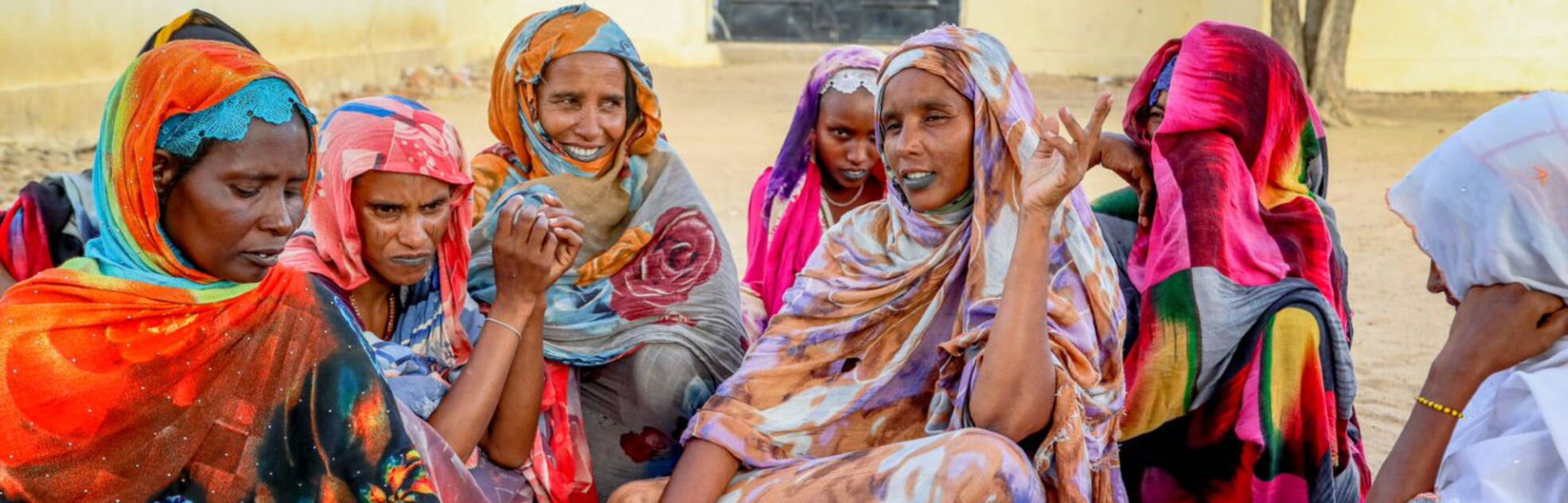 Enquête communautaire, Tchad