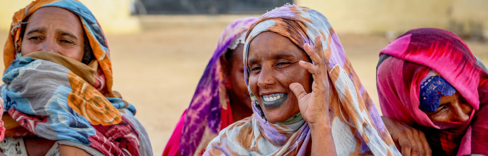 Community Survey, Chad