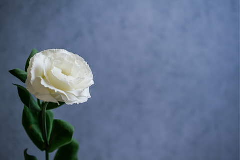 Trauerspende Trauerspende