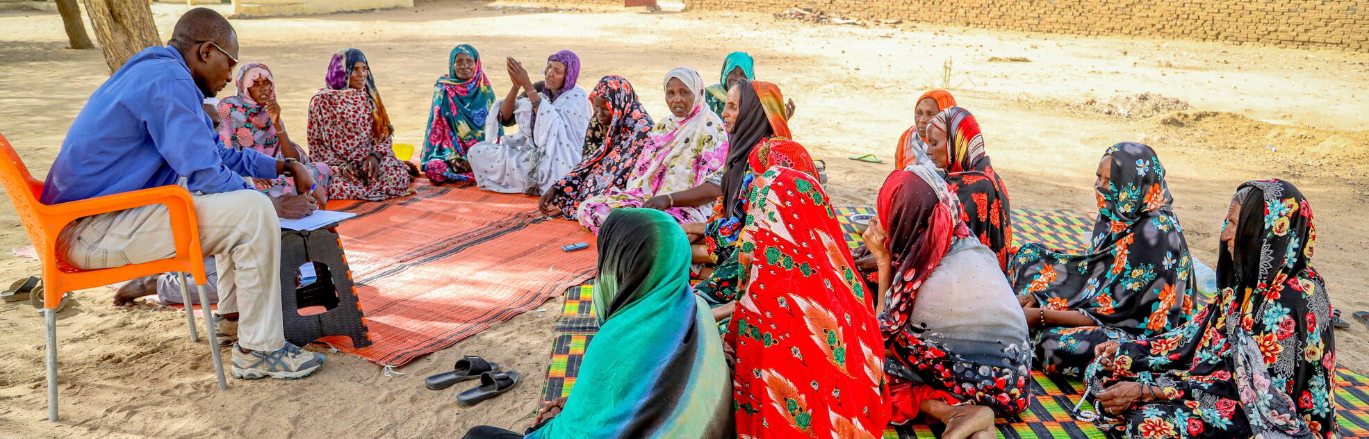 Community Survey, Chad