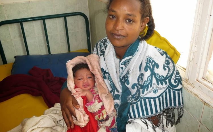 img_2411_zugeschnitten.jpg img_2411_zugeschnitten.jpg