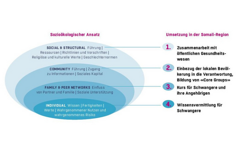 socio-ecological_model.png socio-ecological_model.png
