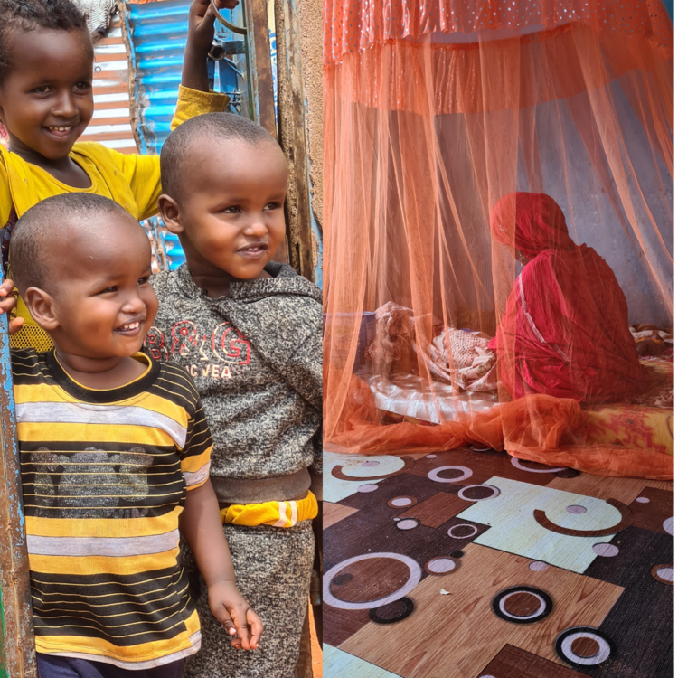 fatun_story.png fatun_story.png