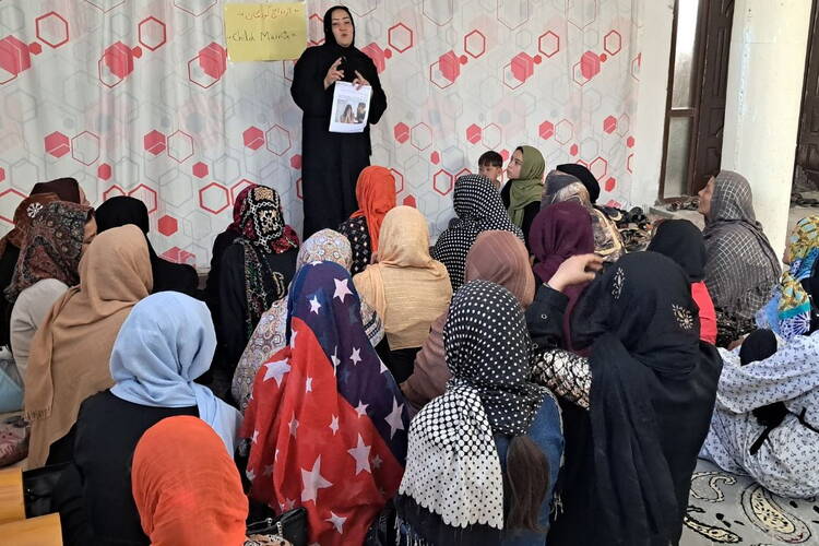 artikelbilder_neue_version_29.jpg artikelbilder_neue_version_29.jpg