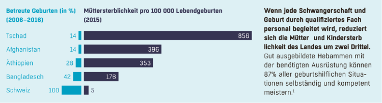 betreute_geburten.pdf betreute_geburten.pdf