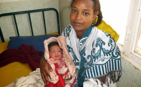 img_2411_zugeschnitten.jpg img_2411_zugeschnitten.jpg