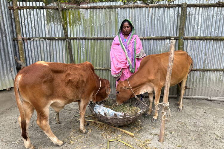 artikelbilder_neue_version_27.jpg artikelbilder_neue_version_27.jpg