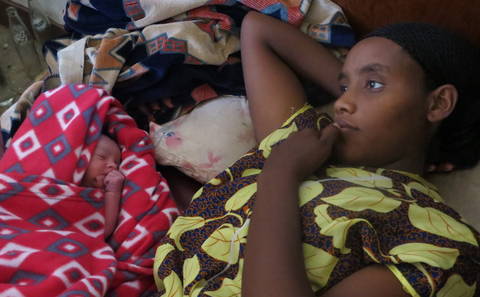 Kuma (Symbolbild) Kuma (Symbolbild)