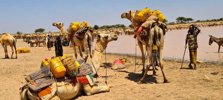 img-20210322-wa0007.jpg img-20210322-wa0007.jpg