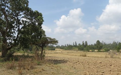 img_0175_landschaft_zugeschnitten.jpg img_0175_landschaft_zugeschnitten.jpg