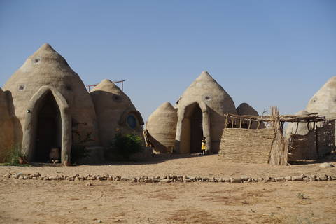 Valentna Maggiulli Valentna Maggiulli