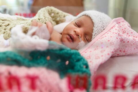 Online-Webinar Online-Webinar